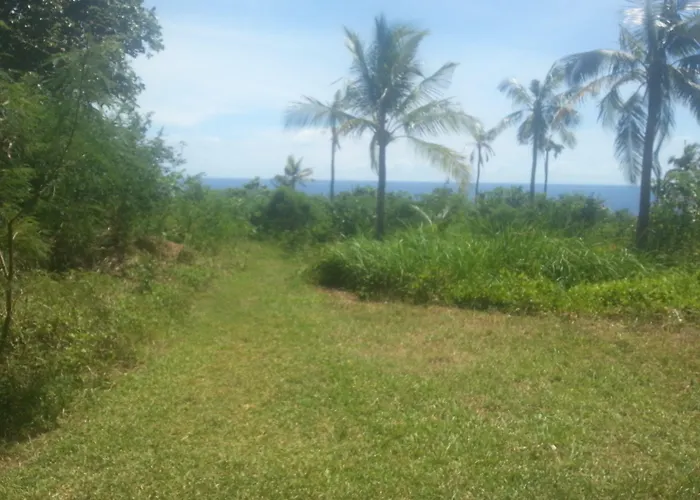 Bed & Breakfast Mick & Kayes San Francisco (Cebu)